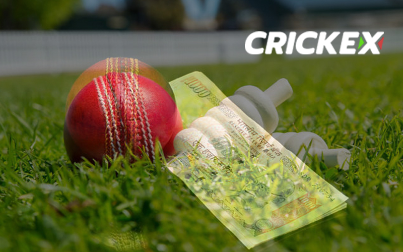 Are online cricket betting a good way to earn money?